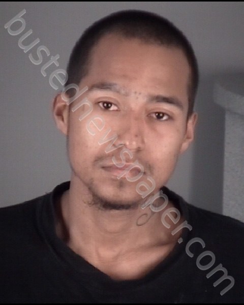 MARTINEZ, CHRISTOPHER #, Pasco County, Florida - 2019-02-04 18:57:00