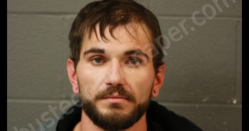 ERIC D AUSTIN | 2019-02-04 15:22:00 Cooper County, Missouri Booking