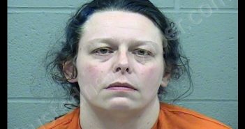 PIERCE, TOMALEE DAWN | 2019-02-04 03:01:00 Harvey County, Kansas Booking