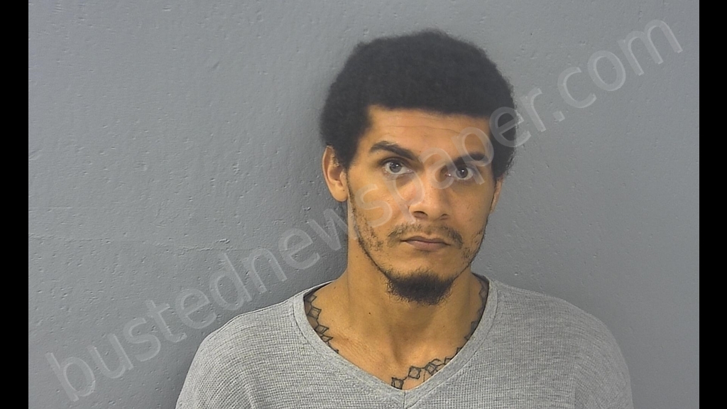 CHRISTOPHER GEORGE GALARZA #, Greene County, Missouri - 2019-02-04 08:05:00