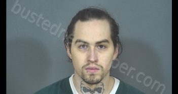 DEREK MICHAEL ALTWINE | 2019-02-05 15:42:00 St. Joseph County, Indiana Booking