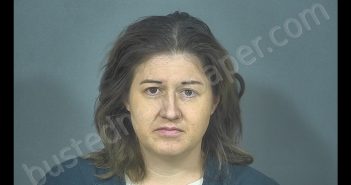 YOLONDA INEZ CARLSON | 2019-02-05 17:31:00 St. Joseph County, Indiana Booking