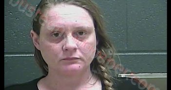 SAMANTHA LYNETTE BADER | 2019-02-05 17:46:00 Perry County, Indiana Booking