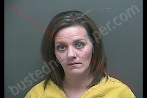 AMANDA KATHRYN HATTEN | 2019-02-08 11:20:00 Howard County, Indiana Booking