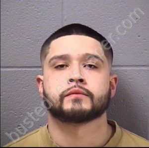 GARCIA, ROBERTO J JUNIOR | 2019-02-09 04:30:00 Will County, Illinois Booking