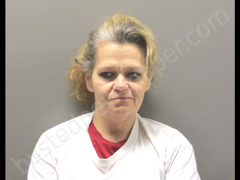 DAVIS,LESLIE LEANE #, Garland County, Arkansas - 2019-02-09 02:47:00
