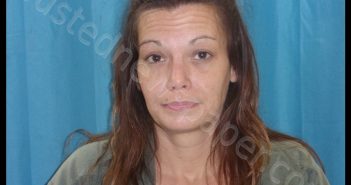 GAHAGAN,PAMELA G | 2019-02-10 13:18:00 Franklin County, Arkansas Booking