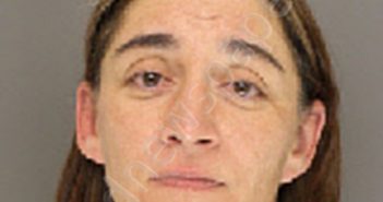 BREWINGTON, JENNIFER ERICA | 2019-02-10 02:36:00 Moore County, North Carolina Booking