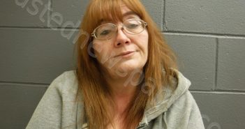 RHONDA DOWELL | 2019-02-10 02:36:12 Clay County, Indiana Booking