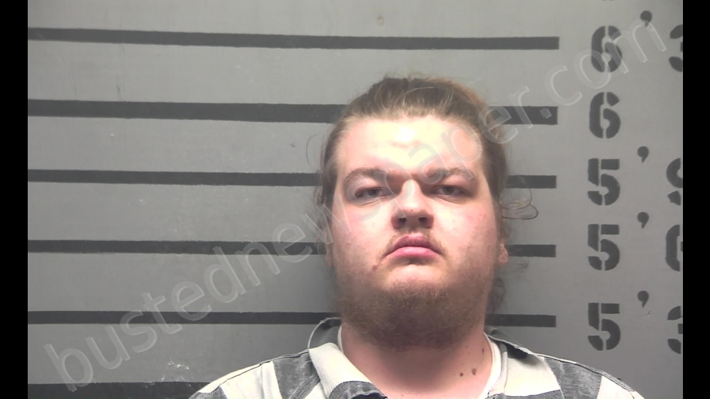 CHADRICK RAY ALSHIRE #, Hopkins County, Kentucky - 2019-02-11 17:23:00
