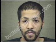 CARNIGIE, CHRISTIAN | 2019-02-11 Harnett County, North Carolina Booking