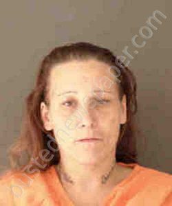 SIMMONS, MICHELLE LEANN | 2019-02-12 Sarasota County, Florida Booking