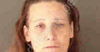 <B>SIMMONS</B>, <B>MICHELLE</B> LEANN #, Sarasota County, Florida - 2019-02-12