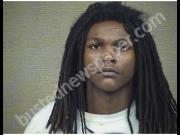 JOHNSON-BALDWIN, TYMARIS | 2019-02-13 Harnett County, North Carolina Booking