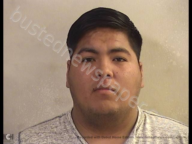 PACHAS PENA, ANDRES JOSUE #, Dickinson County, Kansas - 2019-02-15