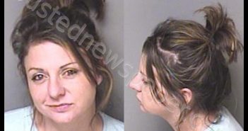 <B>STEELE</B>, <B>CHASITY</B> <B>MICHELLE</B> #, Gaston County, North Carolina - 2019-02-15 07:58:00