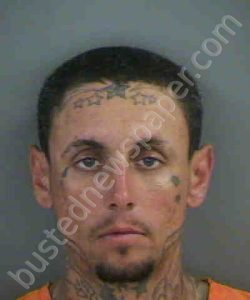 HOLLOWAY,CHRISTOPHER KYLE | 2019-02-15 Collier County, Florida Booking