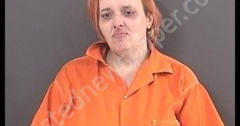 LOUISE, TINA IRENE | 2019-02-17 19:28:00 Roanoke County, Virginia Booking