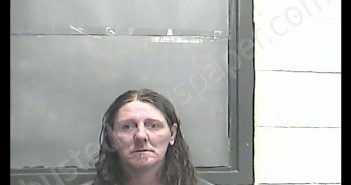 JASON L HENSELL | 2019-02-17 15:38:00 Meade County, Kentucky Booking