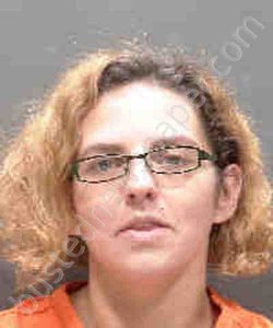 CRAVEN, STEPHANIE RENE | 2019-02-17 Sarasota County, Florida Booking