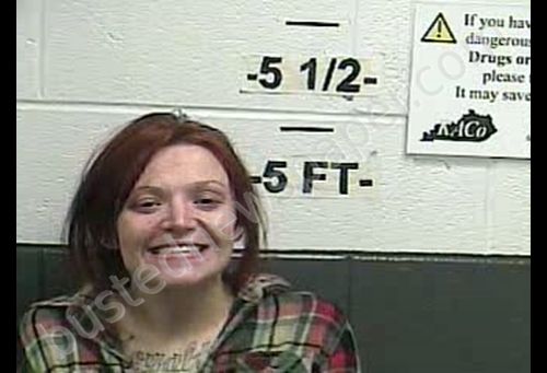 JESSICA M BIRCHFIELD #, Whitley County, Kentucky - 2019-02-18 20:59:00