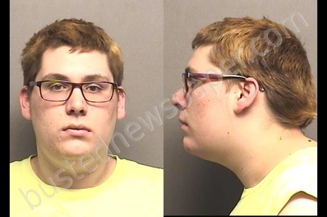 WILSON,ISAIAH ALLEN #, Saline County, Kansas - 2019-02-18 12:45:00