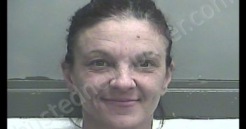 NICOLE MARIE PERRY | 2019-02-18 21:25:00 Meade County, Kentucky Booking