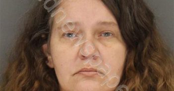 COBB, KANDI MAELYNN | 2019-02-19 11:16:00 Sebastian County, Arkansas Booking