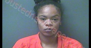 ERICA A COOPER | 2019-02-19 20:38:00 Laporte County, Indiana, La Porte County, Indiana Booking