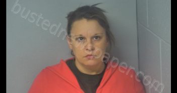 MELINDA KELLUM | 2019-02-19 14:11:00 Virginia Peninsula Regional Jail, Virginia Booking