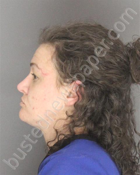 CHAMBERS, LADORA JO #, Sebastian County, Arkansas - 2019-02-19 19:12:00