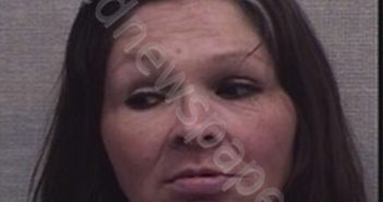 CINDY JO TURNER | 2019-02-19 15:22:00 Jackson County, Indiana Booking