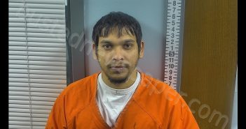 CHETRAM NMI NIRANJAN | 2019-02-19 09:43:00 Ottawa County, Ohio Booking