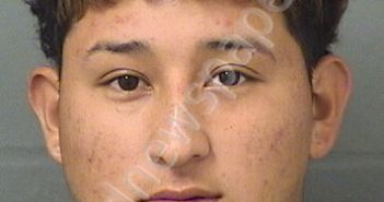 GOMEZ <B>GONZALEZ</B>, JEFFERSON <B>ALEXIS</B> #, Palm Beach County, Florida - 2019-02-19 09:05:00