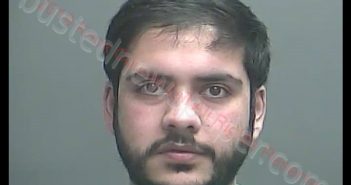 BHAVESH ARORA | 2019-02-19 00:11:00 Knox County, Indiana Booking