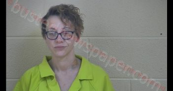 EMILY D WHEATLEY | 2019-02-19 23:44:00 Taylor County, Kentucky Booking