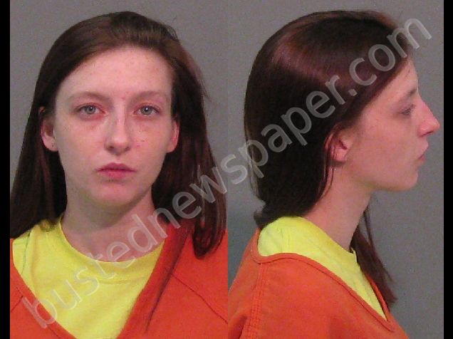 BARRETT, AMBER MICHELLE #, York County, South Carolina - 2019-02-20 02:17:51
