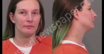 SHEFFIELD, CANDIS LEE | 2019-02-20 10:59:00 York County, South Carolina Booking