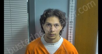 RICHARD LEE COTTON | 2019-02-20 14:20:47 Ottawa County, Ohio Booking