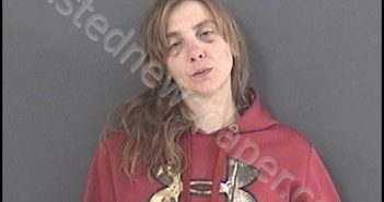 DODD, MADONNA LYNN | 2019-02-20 02:14:00 Roanoke County, Virginia Booking