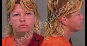 THRIFT, BLANCH ANNA MARIE | 2019-02-20 02:52:57 York County, South Carolina Booking