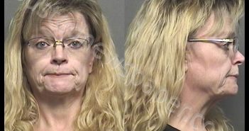 ALTON,CINNAMON LEE | 2019-02-20 09:45:00 Saline County, Kansas Booking