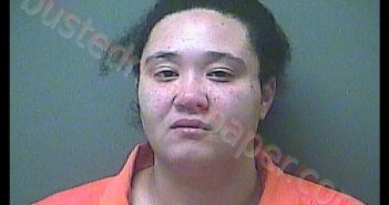 CRYSTAL LYNN HILDEBRANDT | 2019-02-20 01:12:00 Laporte County, Indiana, La Porte County, Indiana Booking