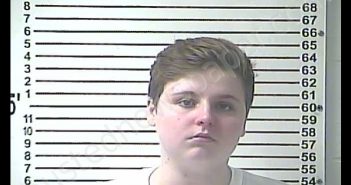 KATHERINE JO ADKINS | 2019-02-20 20:56:00 Hardin County, Kentucky Booking