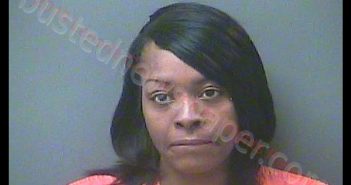 NAOMI A JOHNSON | 2019-02-21 20:07:00 Laporte County, Indiana, La Porte County, Indiana Booking