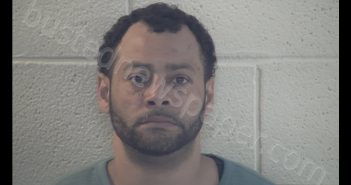 DAVID G BRIDGEWATER | 2019-02-21 11:15:00 Pulaski County, Kentucky Booking