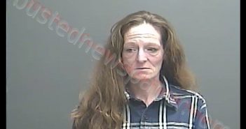 SARAH DAWN EAKINS | 2019-02-21 12:49:00 Knox County, Indiana Booking