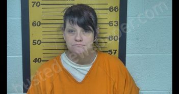 LAWANDA L ROBERTSON | 2019-02-21 18:15:56 Ottawa County, Ohio Booking