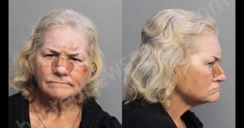 GOLD, BOBBIE LYNNE | 2019-02-22 09:27:00 Miami-Dade County, Florida Booking