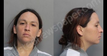 GONZALEZ, ASHLEY MARIEBERNADE | 2019-02-22 16:16:00 Miami-Dade County, Florida Booking